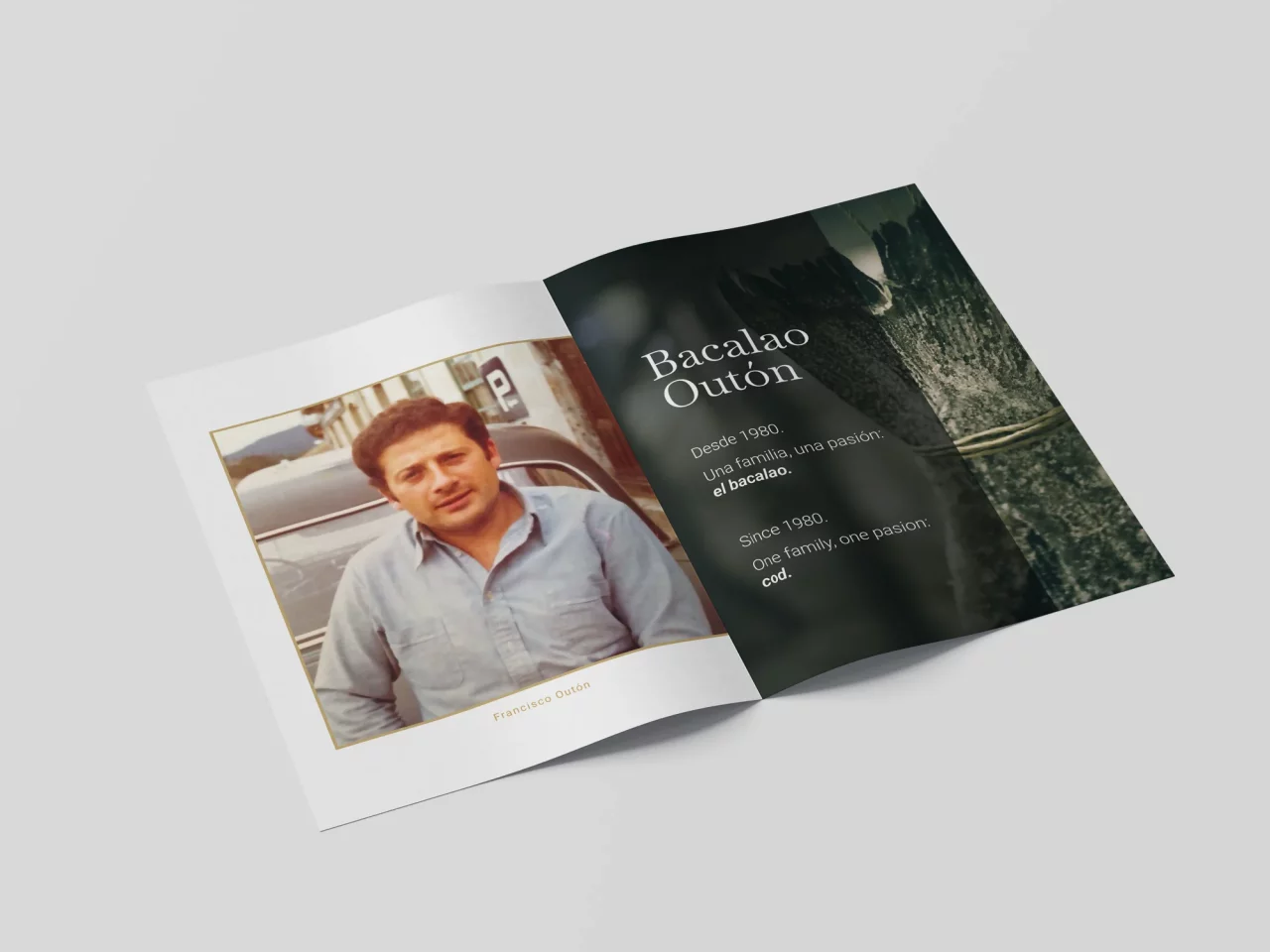 diseno-brochure-inicio