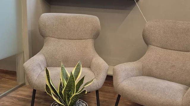 Recibidor o zona de descanso con sillones y mesa