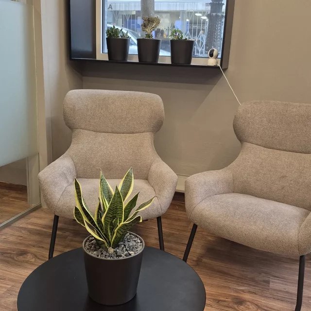 Recibidor o zona de descanso con sillones y mesa
