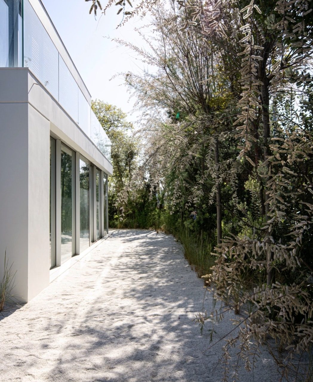 IMG_0585
